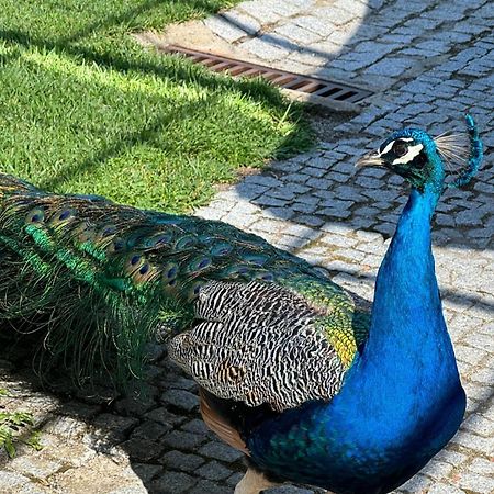 Apartamento Com Boa Luz E Localizacao Em Lisboa. Apartment Luaran gambar